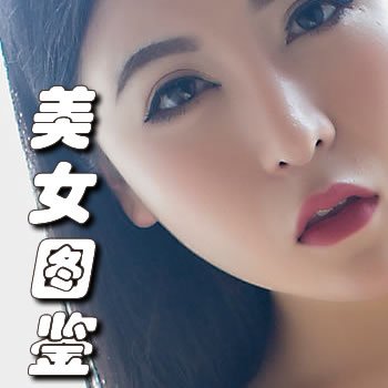 美女图鉴
